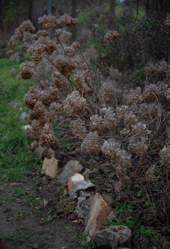 IMG-c052c6a8ce01a65f34c0d7ed22235c95-V