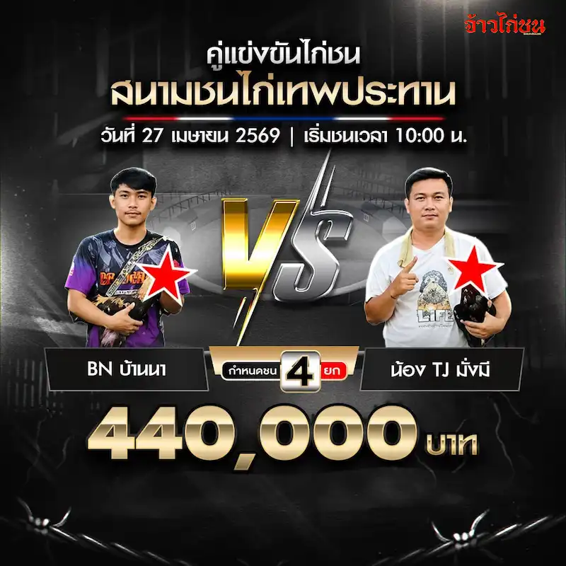 BN บ้านนา พบ น้อง TJ มั่งมี โปรแกรมไก่ชน สนามเทพประทาน วันที่ 27 เมษายน 2569