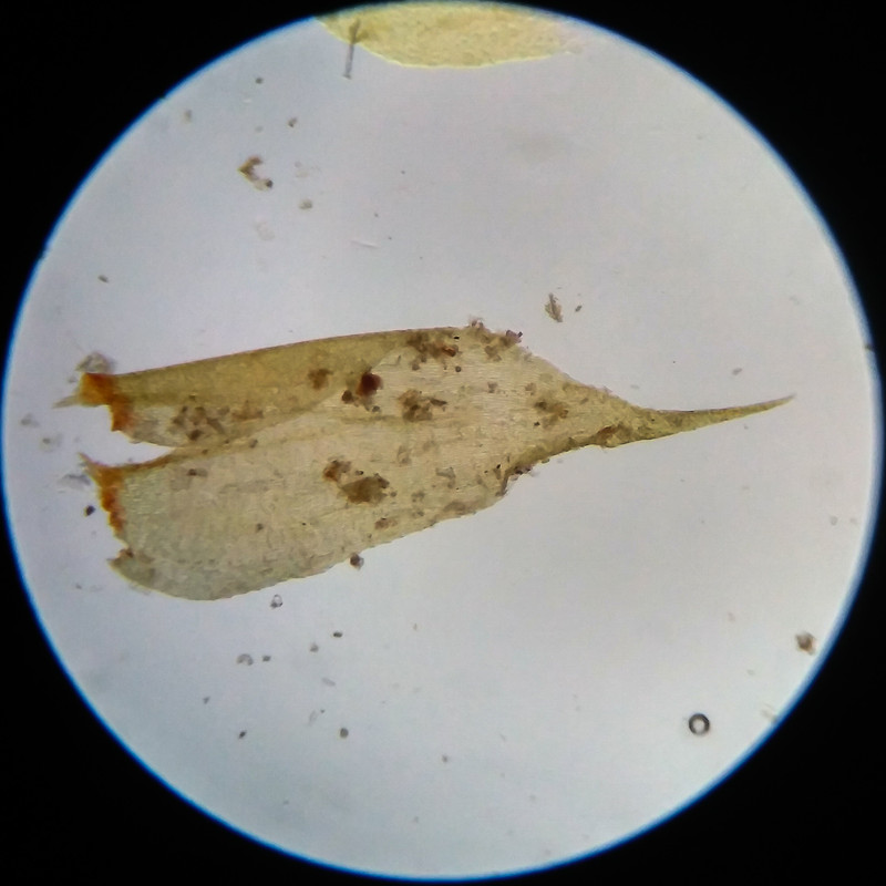 IMG 20250617 111658 HDR