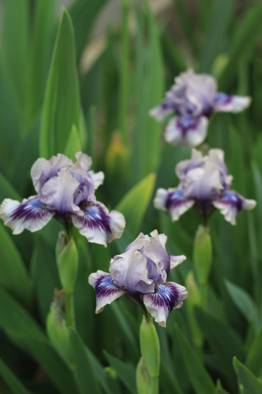 IMG 0583 — Postimages