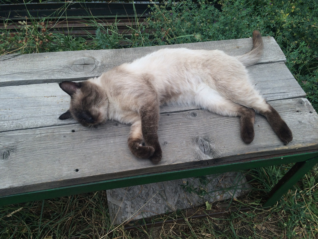 1E7550DE-19DF-4E32-8E0D-EB00911CA7B0