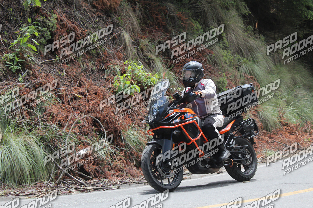 IMG 3318 wm 397390 5 watermarked — Postimages