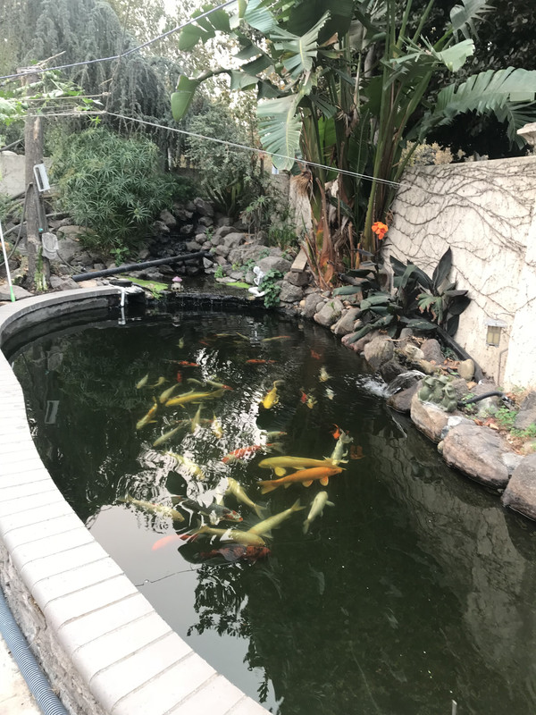 D97D1D56-7548-4404-A3E7-6073A7AF55E4