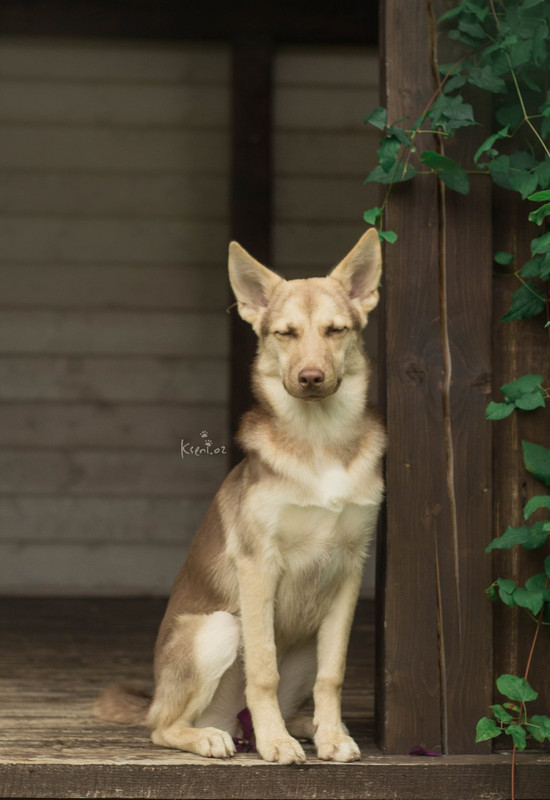 изображение_viber_2021-08-21_16-06-54-281