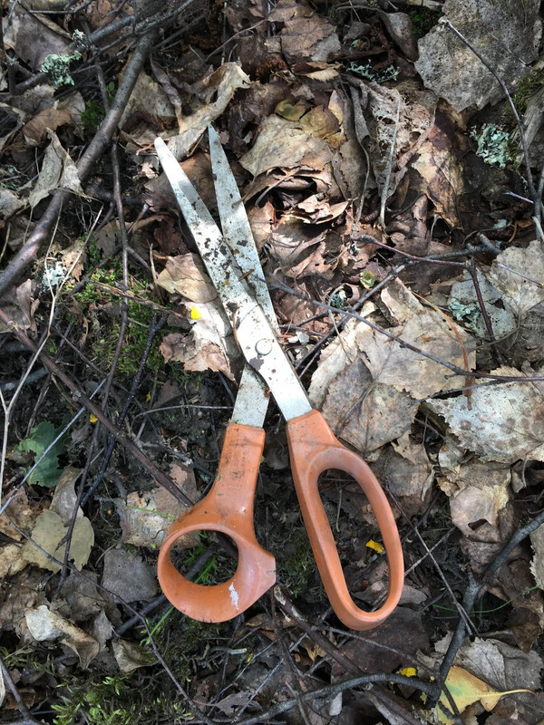 3839D879-DBBA-45C4-B6DC-1DA8A838CE11