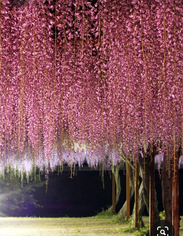 Screenshot_20230409_221235_Pinterest