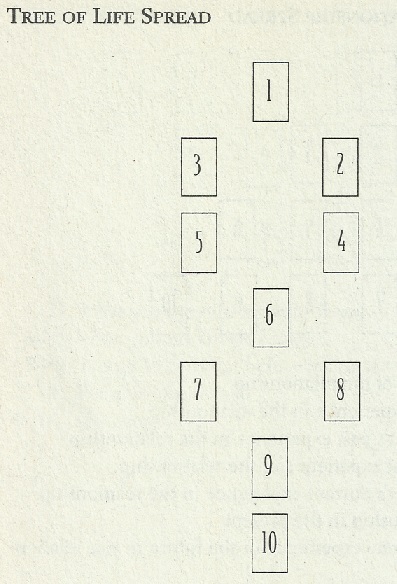 [Imagen: Tree-of-Life-Spread.jpg]