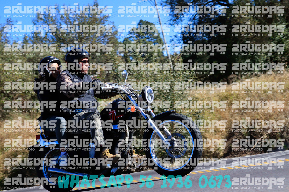 MG 0080 — Postimages