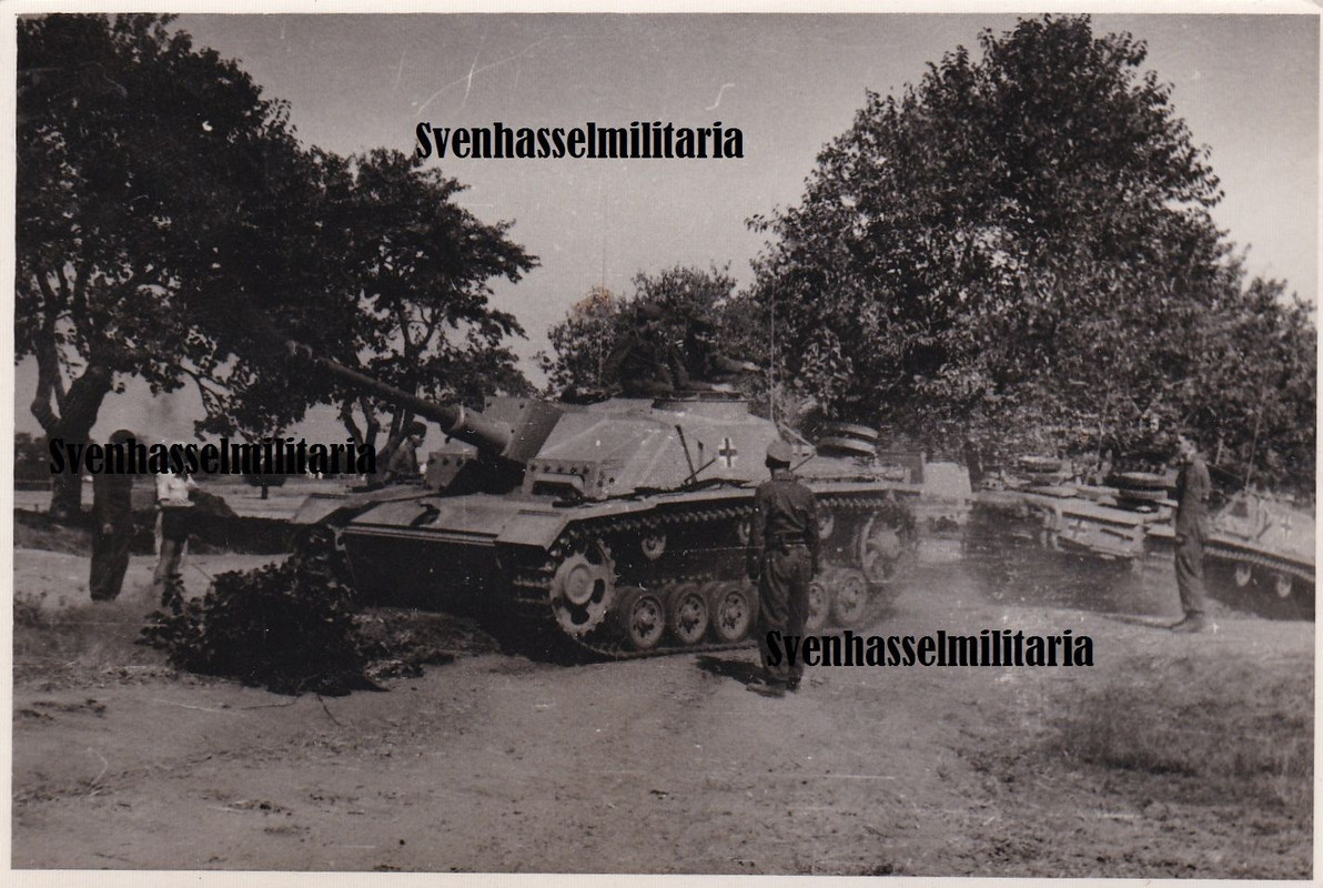 Elite Panzer Tank Stug Abt1 LAH Sturmgeschütz La