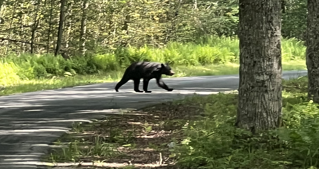 95B32E05-4FF4-401E-9E12-3F3A44D286CB