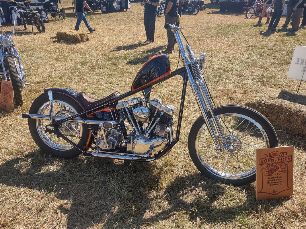 IMG_20241019_124537252_HDR