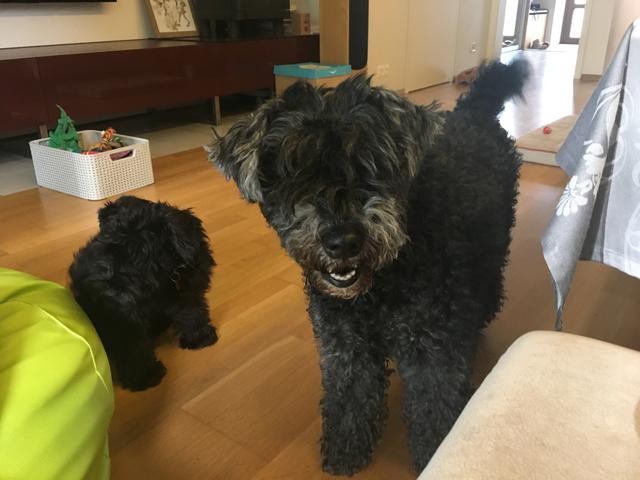 D4_F77576-_BC88-4036-902_A-9_D82_FC09935