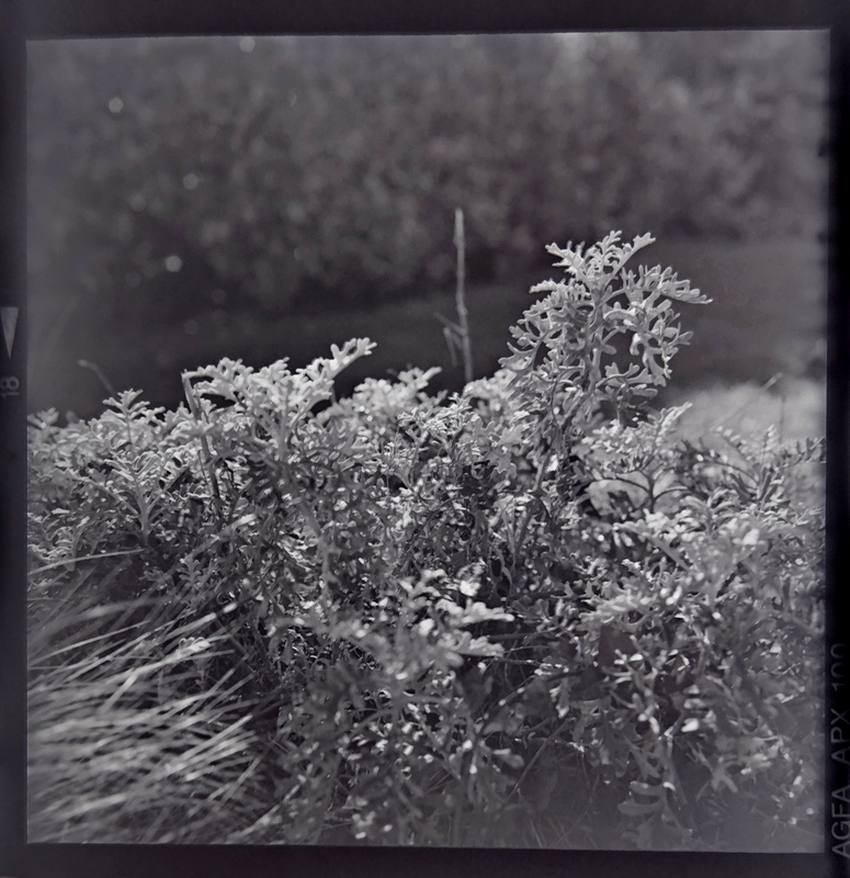 Negative Image 33bb28c8 a005 429d a3de 881e9b0eea60