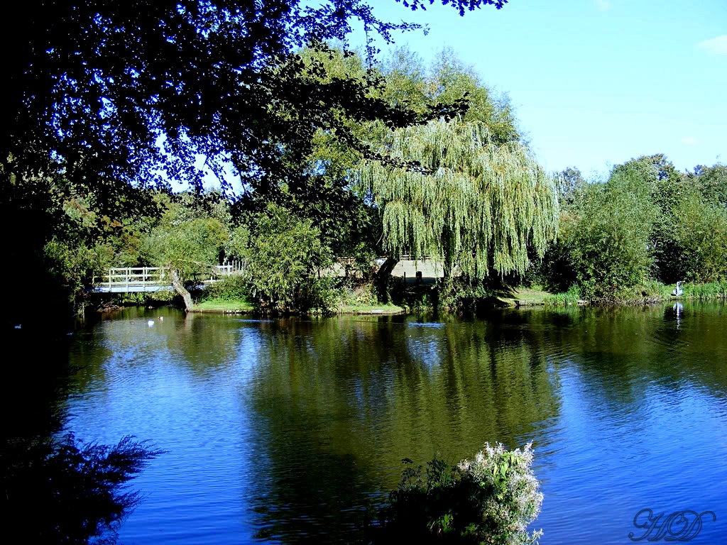 castle-grounds-HD.jpg