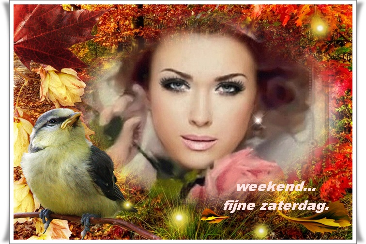 Klik op de afbeelding om de link te volgen