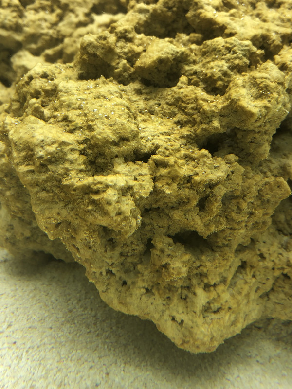 BB406660-6F2B-43E7-9960-2C28CCF70A3F