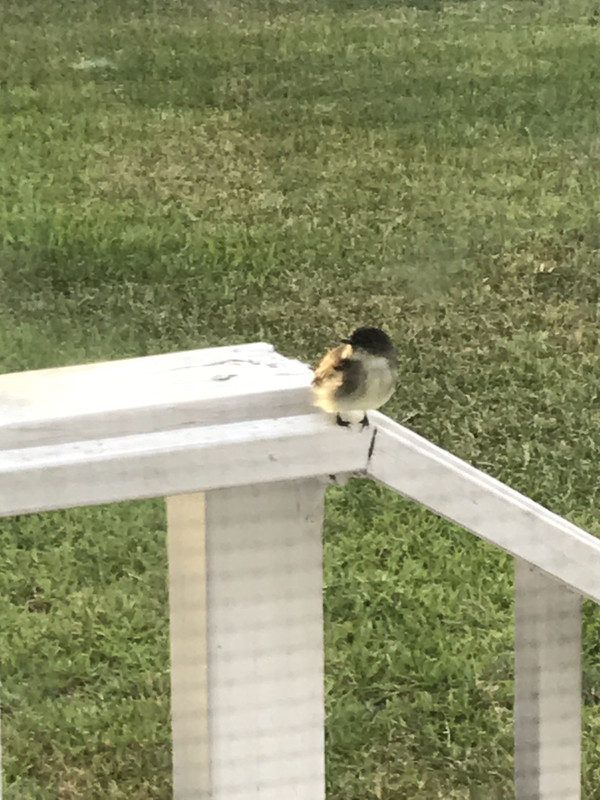 75422340-933E-4152-A28B-F6637E5BFCB1