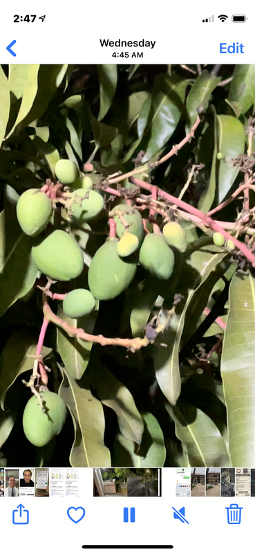 BD336274-020E-4FE0-A121-65FCB5B4F221