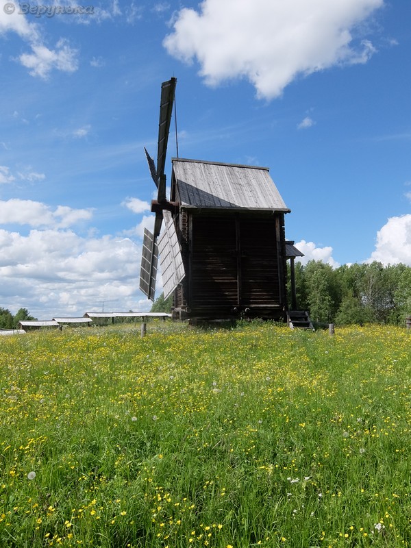 DSCF7978