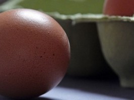 Яйца и орехи снижают риск преждевременной смерти