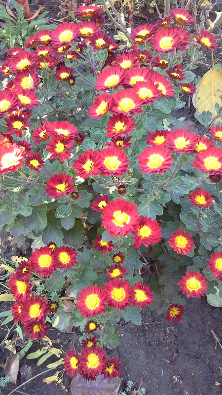 20181101_133355
