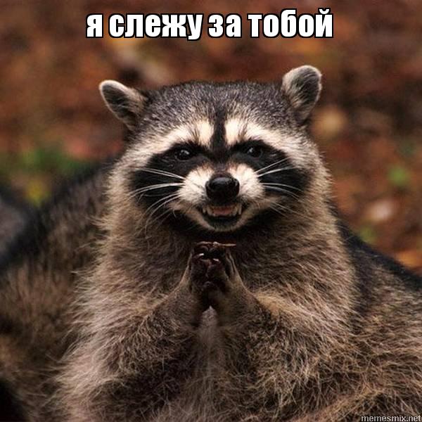 22222222222222222.jpg
