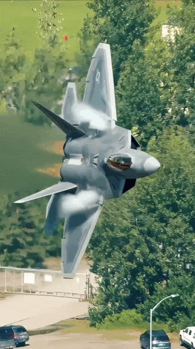 https://i.postimg.cc/tJqyQndm/IMG-3103-(1).gif
