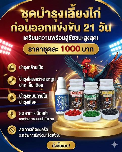 ชุดบำรุงเลี้ยงก่อนแข่ง 21 วัน (Super High Pro + PREMIUM P01+P02)