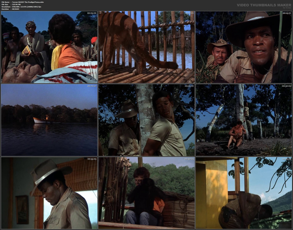 Tarzan S01E07 The Prodigal Puma.mkv