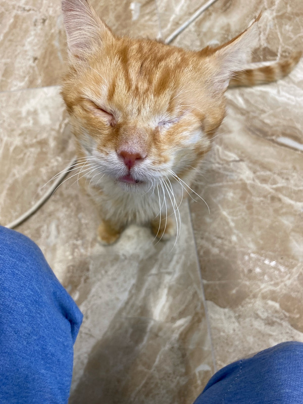 120Lyq66H8Qqe92zc4YS0mAxVvlG2YnNUaHgPCRrxtxEoNY9TeRuAUBbc1NzyPh0YtX5AVKtNGlR8S5wuS_eswti