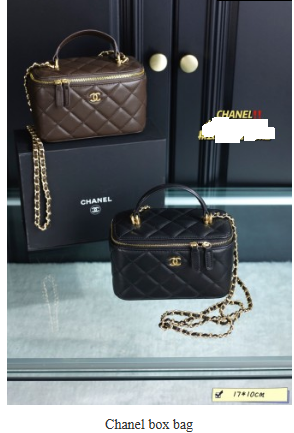 Chanel box bag4