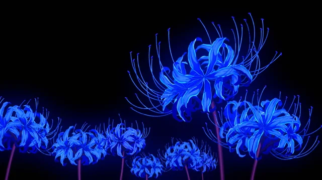 [Image: Blue-Spider-Lily-Anime.webp]