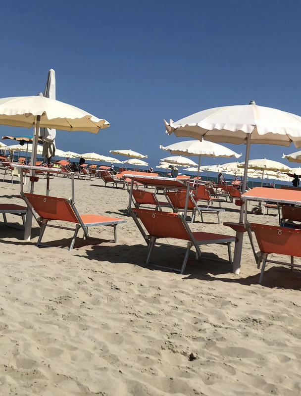 2516B203-60A1-417D-8A5C-A7E8FE462304