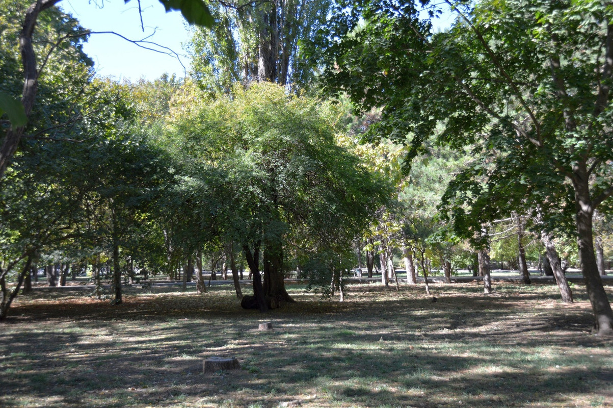 Городской парк осенью 8