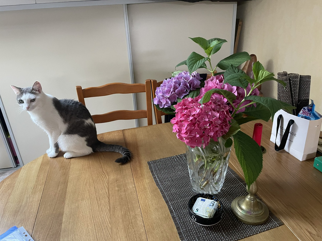 IMG-26f901248d19e9d1bbd906cf12de11bb-V