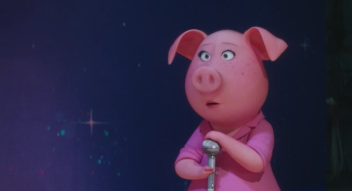 Sing-2016-PORTUGUESE-BRRip-x264-AC3-PTBo
