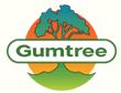 GUMTREE