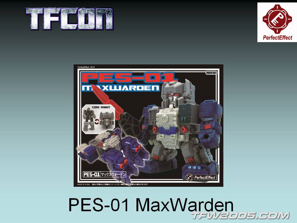 TFCon-2014-Panel-96_1405198846