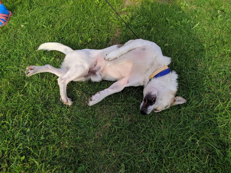 a5121d24-1555-439d-8d63-f2127b6bd6ae