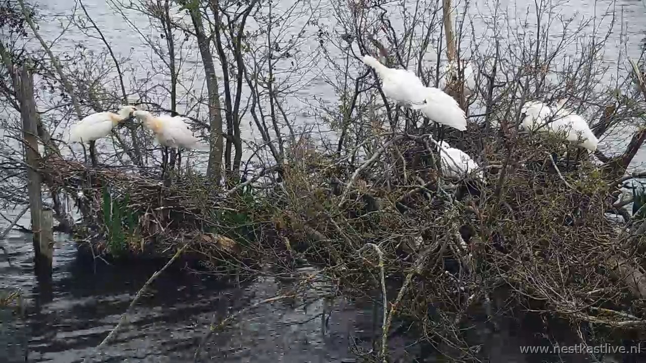 snapshot 2026 04 05T093316 385