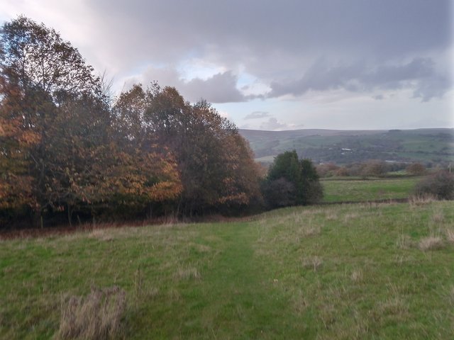 IMG_20221101_145433_2