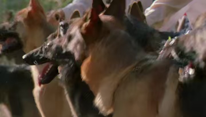Waqt-The-Race-Against-Time-2005-Web-Rip-Hindi-480p-10bit-x265-HEVC-2-0-ESub-mkv-0004