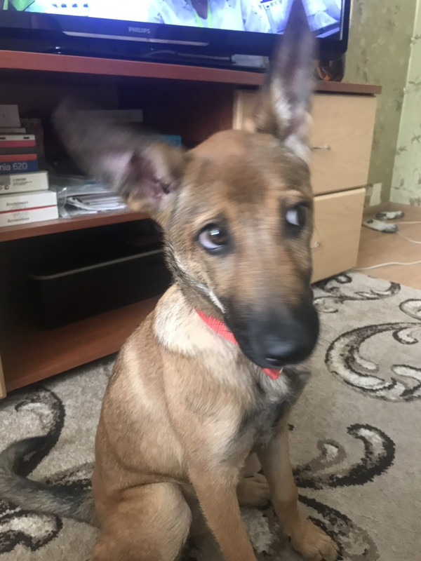 изображение_viber_2019-08-04_17-04-10