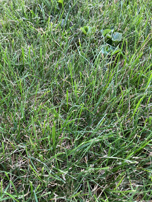 6CC99057-65D3-4D39-9EC4-1F829C5CCB42