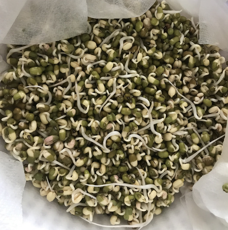 C07099CA-B283-415C-A577-8A8335B6C116