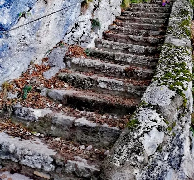 [Obrazek: schody.jpg]