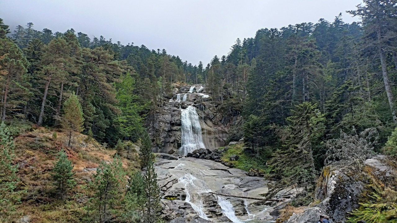 IMG20250822153912 (Large)