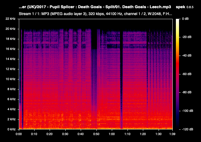 01 Death Goals Leech mp3