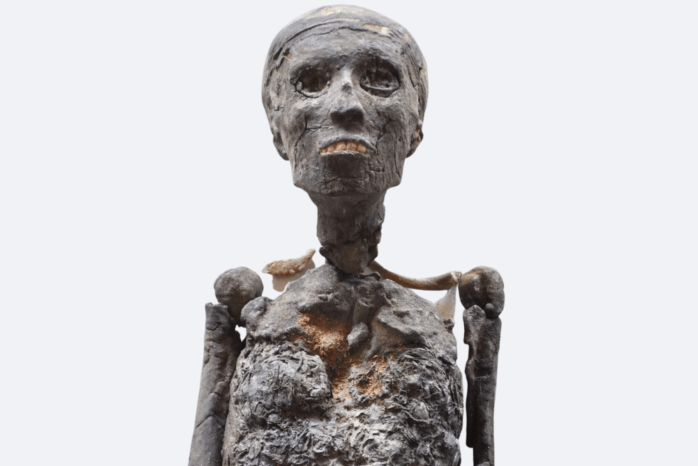 Tutankhamuns DNA Analysis Egypt Tours Group