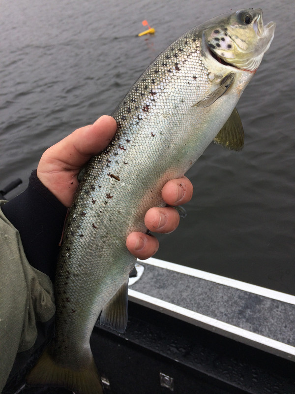 9F4DC6A6-699F-43DA-9474-E12770E11B7F